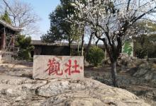 云龙山9