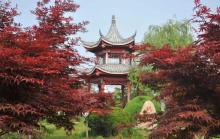 阜阳生态园2