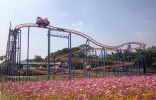 阜阳生态园13