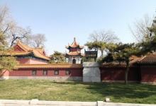 戏马台16