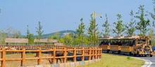 徐州九顶山野生动物园2