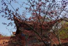 皇藏峪国家森林公园25