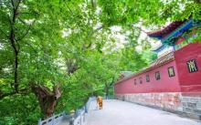皇藏峪国家森林公园2