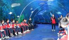 徐州欧乐堡海洋极地世界8