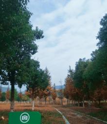 横山风景区4