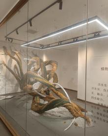 凤凰美术馆5