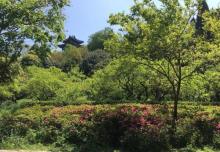 台想昭明8