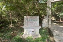 画圣高奇峰先生之墓4