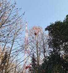 国民政府中央广播电台旧址4