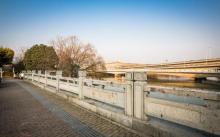 Saihong Bridge4