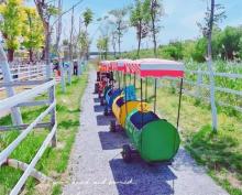 多乐拾趣花田乐园3
