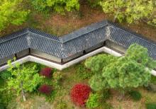 六合竹镇森林公园3