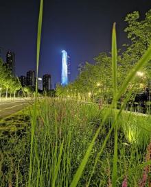 南京国际博览中心青奥公园9
