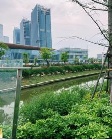 南京国际博览中心青奥公园10