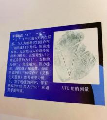 南京中华指纹博物馆4
