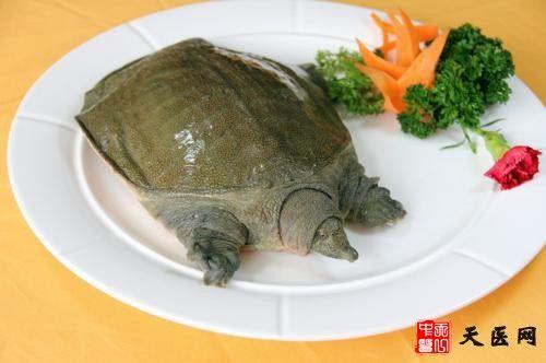 吃甲鱼过敏怎么办  吃甲鱼过敏身上很痒怎么办