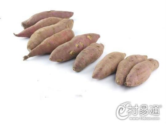 比砒霜还毒的14种食物  吃什么能解砒霜的毒
