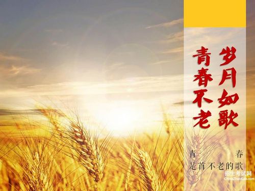 形容同窗的句子唯美 形容同窗的成语