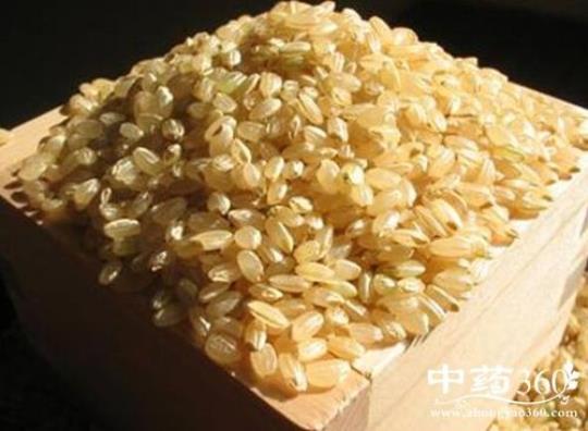 大米怎么吃最滋补  多吃饭少吃菜
