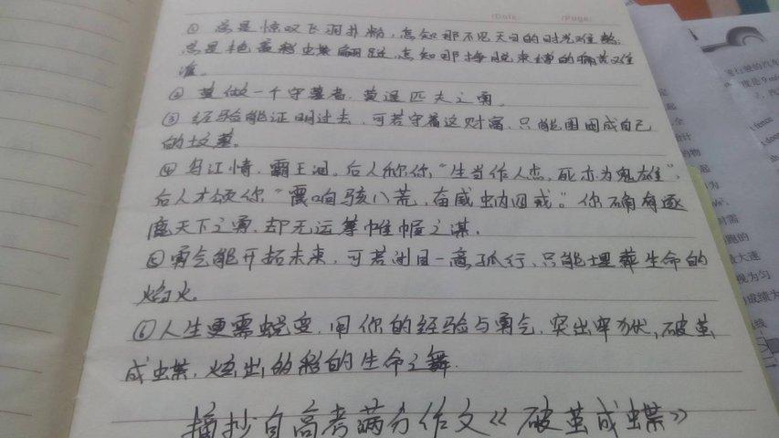优美句子摘抄和点评 关于优美句子摘抄简短