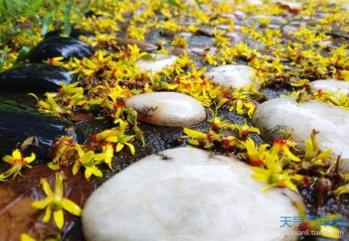 形容天然的美的诗句  形容天然美景的诗句