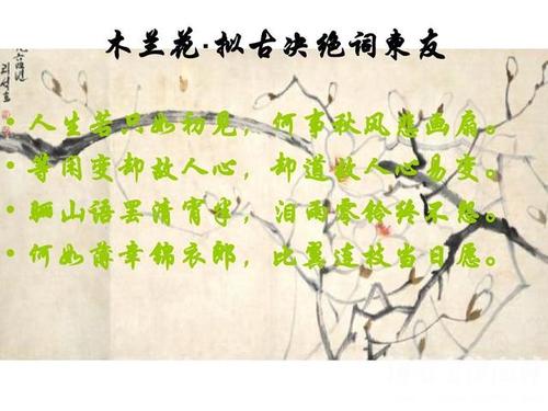 异性朋友的古诗词 关于异性朋友的作文600字