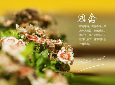 形容对朋友的思念的诗句 关于形容朋友之间关系的谚语