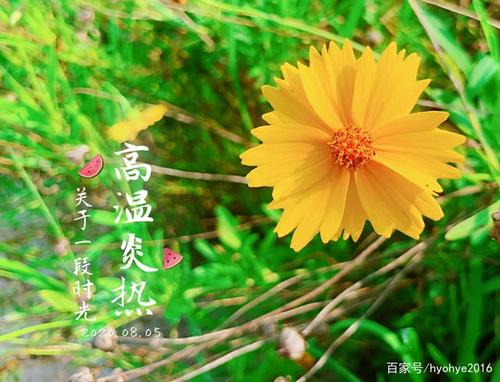 形容酷暑炎热的诗句 形容夏天炎热的诗句古诗