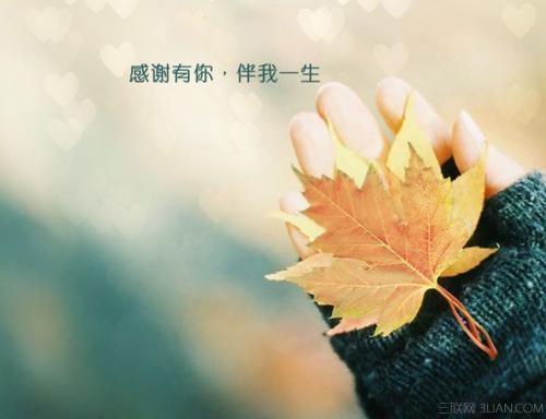 家人羁绊的唯美句子 家人羁绊的句子唯美简短