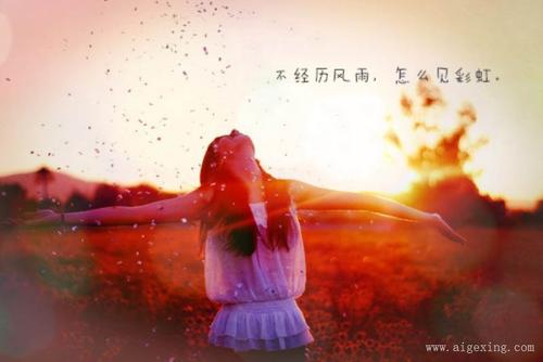 舒适的优美句子 舒适优美句子