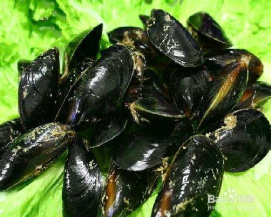 淡菜怎么吃  淡菜怎么吃最好