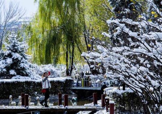 北风吹雪四更初出自哪里 