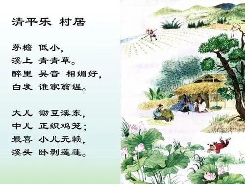 茅檐长扫净无苔的茅檐的意思 