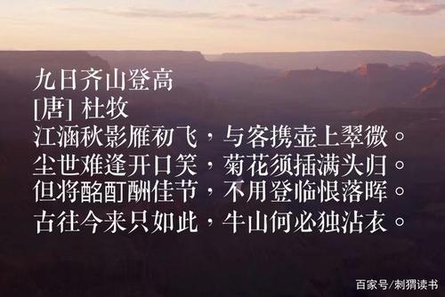 遥怜故园菊应傍战场开翻译 
