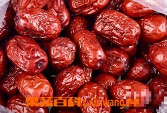 怀孕可以吃新鲜枣吗？