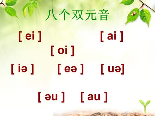 音标有多少个双元音 音标表48个国际音标发音