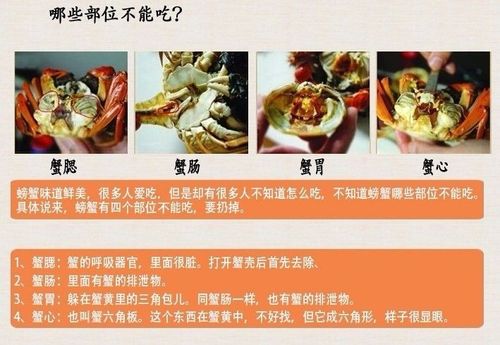 吃螃蟹不能吃什么 吃螃蟹过敏怎么办快速止痒