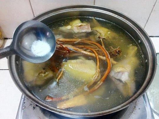 五指毛桃煲鸡 五指毛桃的功效与作用及食用方法