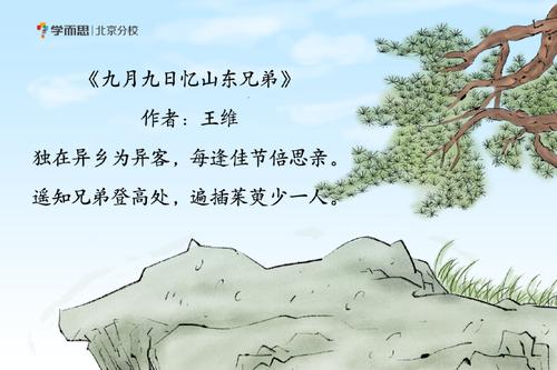 九月九日忆山东兄弟的诗意是什么 九月九日忆山东兄弟翻译