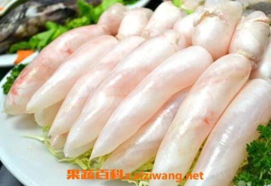鱼鳔是什么 鱼鳔什么了