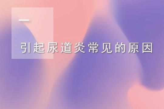 尿道炎吃什么