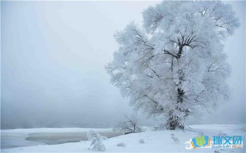 关于形容树还绿就下雪的诗句合集(通用) 关于形容下雪的诗句