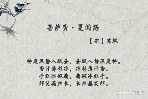 苏轼诗句感想的作文