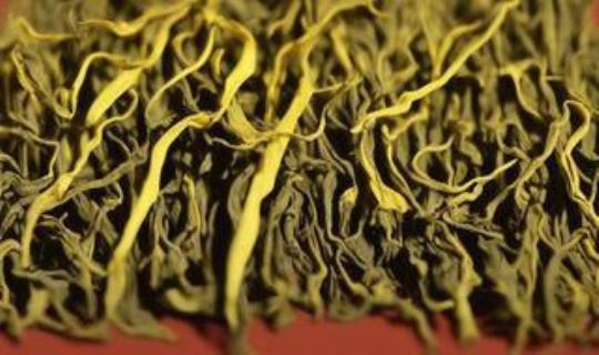 英山云雾茶的口感