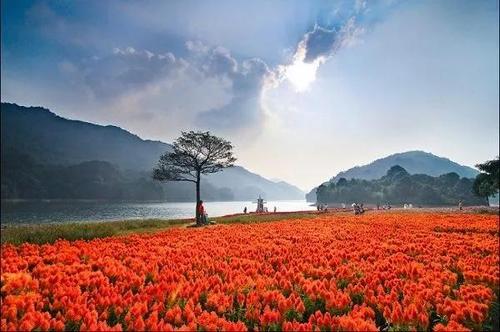 从化十大景点排行榜