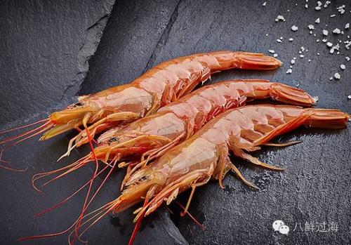 prawn是什么意思 prawnswithchilliesandgarlic怎么读