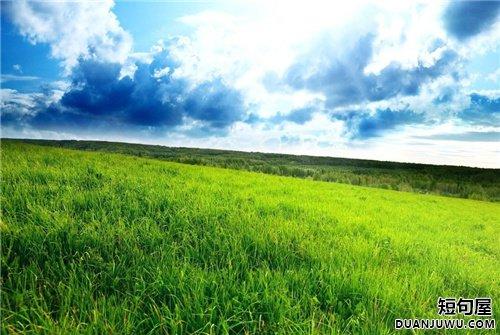 关于草原里面的优美句子大全 草原里面有什么