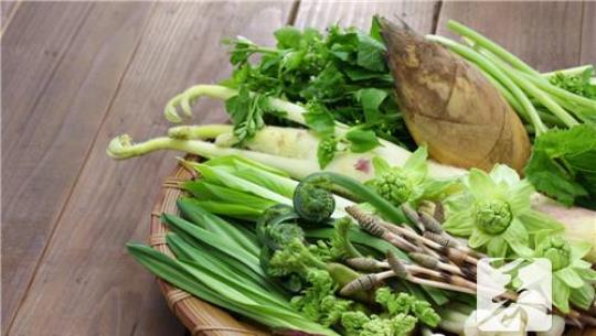 蒜苔都能和什么一起炒