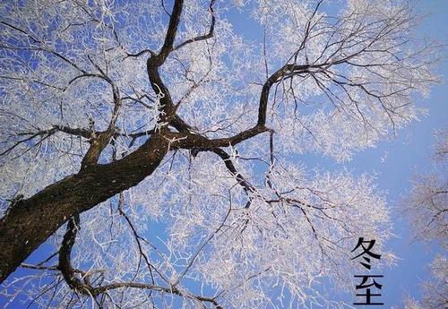 关于过冬的诗句合集(实用) 准备好过冬的诗句