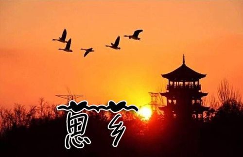 关于想念远方的家人的诗句合集(优选) 关于想念远方的你的诗